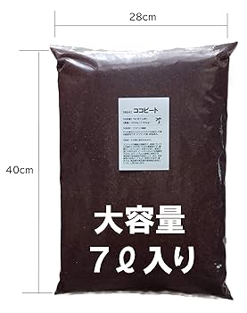 71V+2DG7K3L._UF350,350_QL80_.jpg